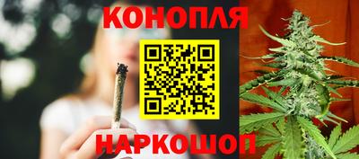 гашик Долгопрудный