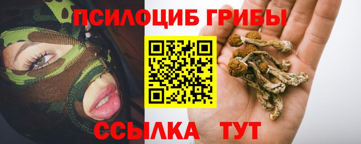 Псилоцибиновые грибы GOLDEN TEACHER  Вход с VPN  наркошоп  Воронеж 